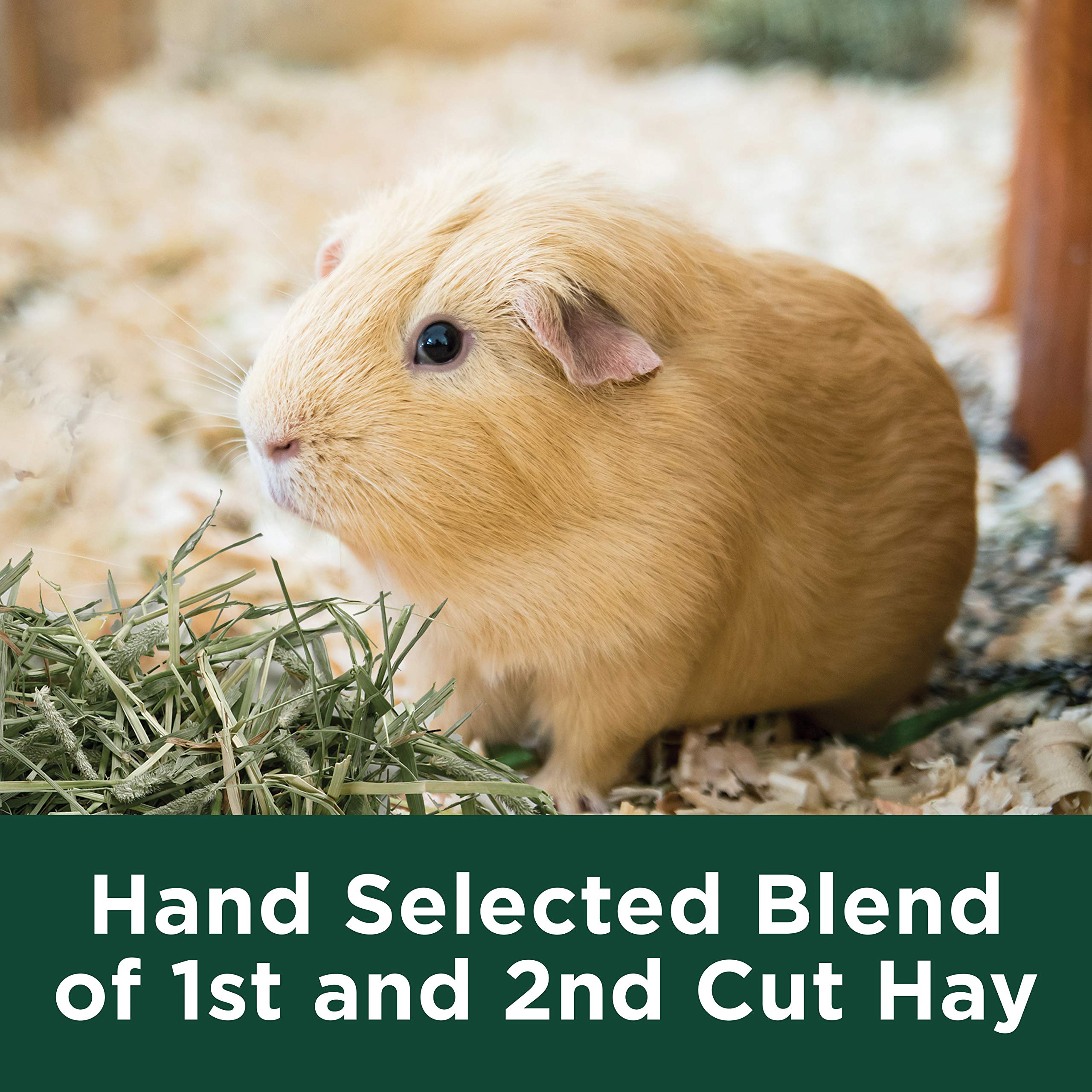 Foto 8 pulgar | Alimento Para Mascotas Kaytee Wafer Cut, Totalmente Natural, Timothy Hay, 1,77 Kg - Venta Internacional.