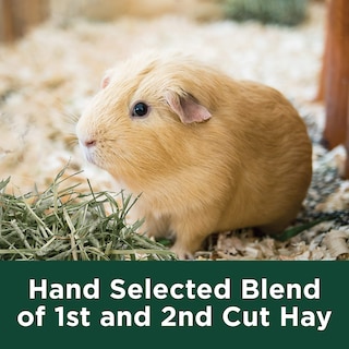 Foto 7 | Alimento Para Mascotas Kaytee Wafer Cut, Totalmente Natural, Timothy Hay, 1,77 Kg - Venta Internacional.