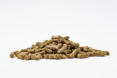 Foto 3 | Alimento para Chinchilla Mazuri con Fibra 1.3 kg