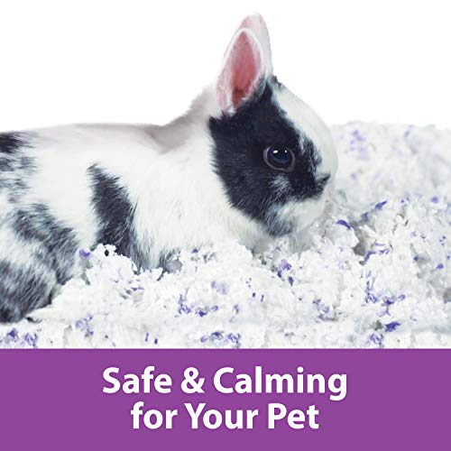 Foto 3 | Ropa De Cama Para Mascotas Kaytee Clean & Cozy Lavender, 24,6 L, Para Niños Pequeños - Venta Internacional.