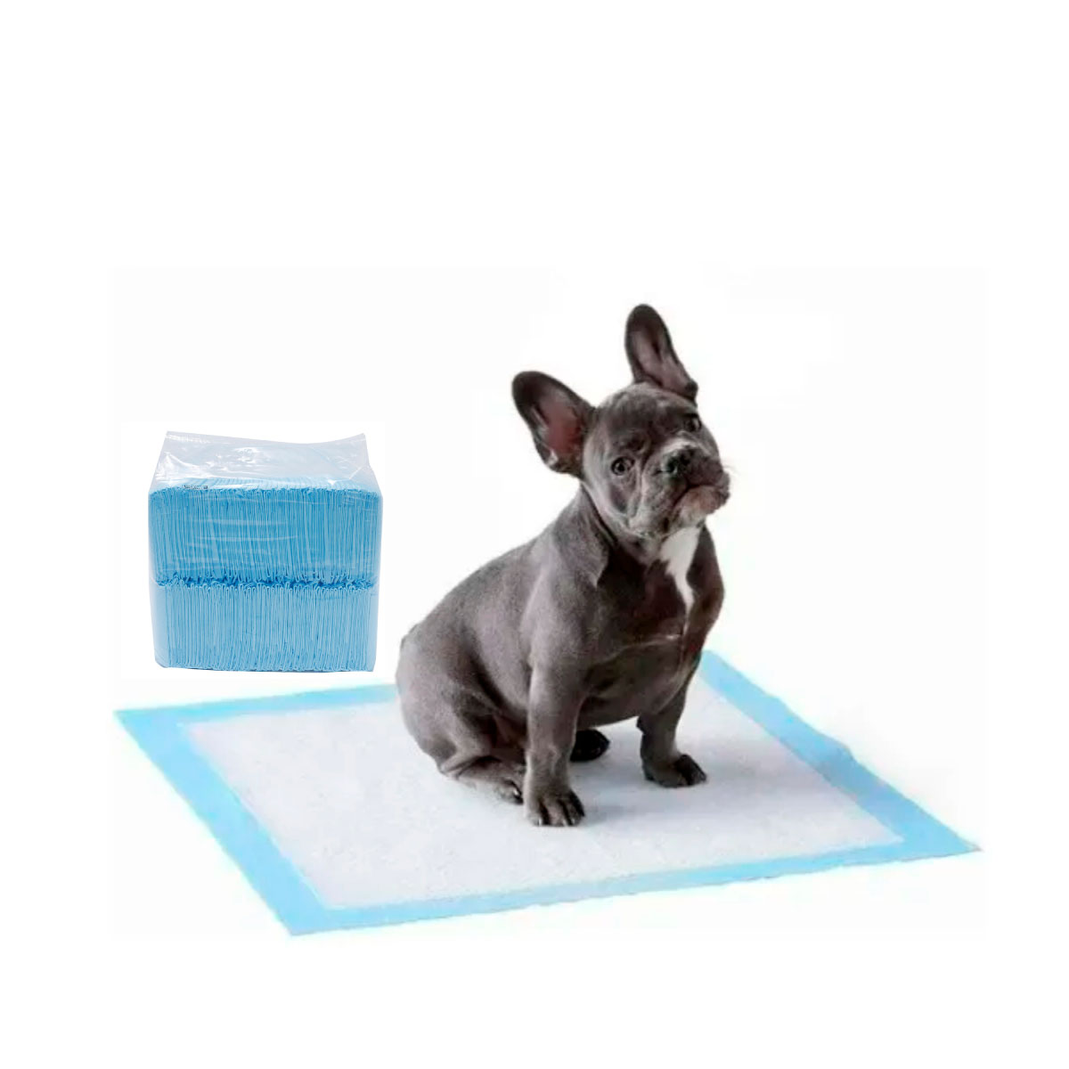 Foto 2 pulgar | Pañal Entrenador Absorbente Poli Pets para Mascota