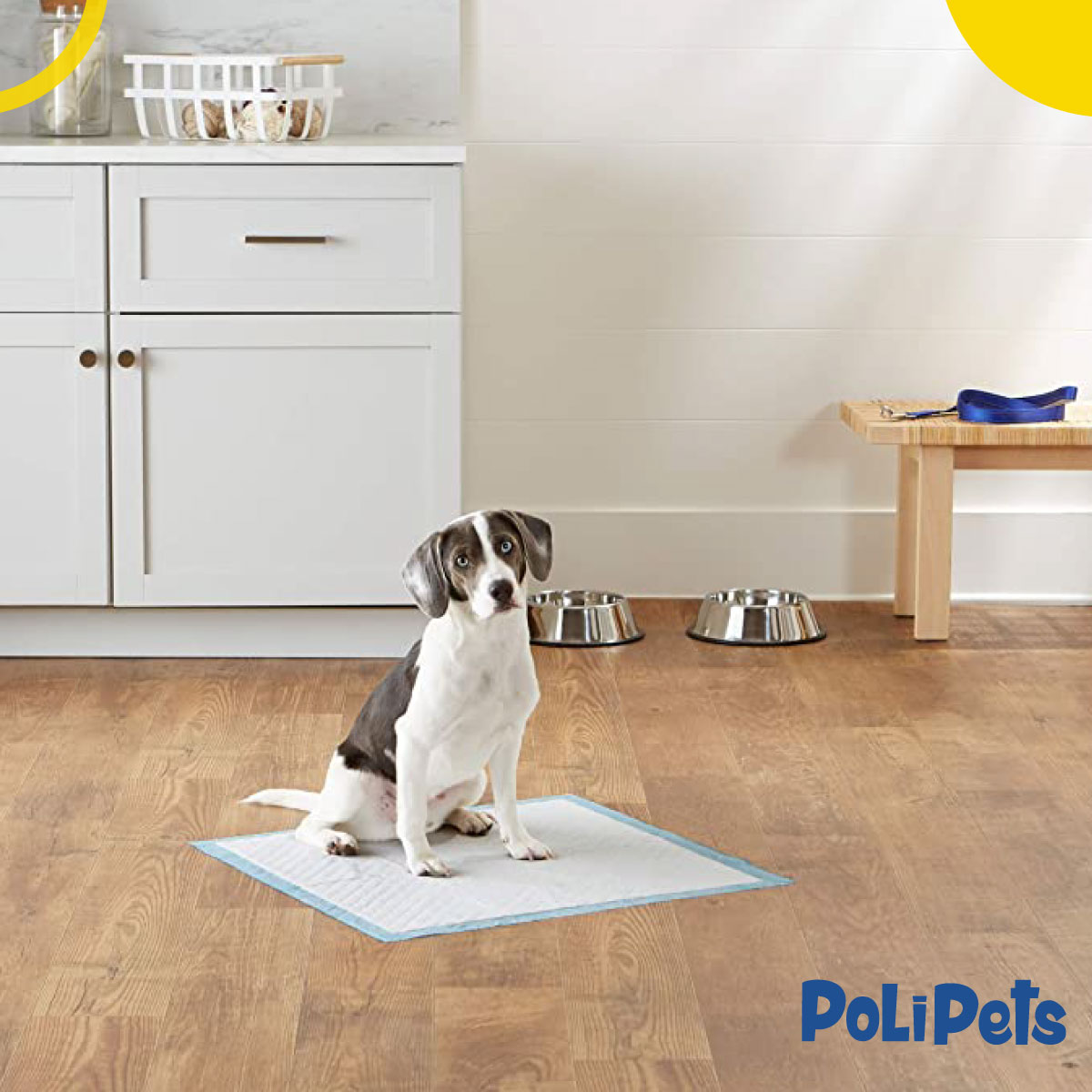 Foto 4 pulgar | Pañal Entrenador Absorbente Poli Pets para Mascota