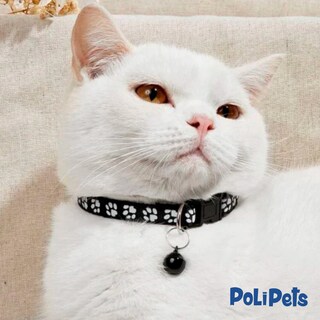 Foto 5 | Collar Poli Pets para Raza Pequeña con Campana