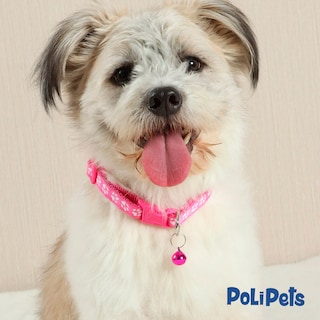 Foto 3 | Collar Poli Pets para Raza Pequeña Con Campana
