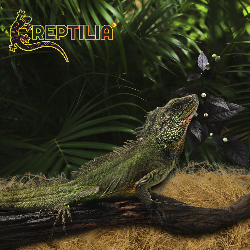 Foto 6 pulgar | Sustrato de Fibra de Coco Reptilia 8 L