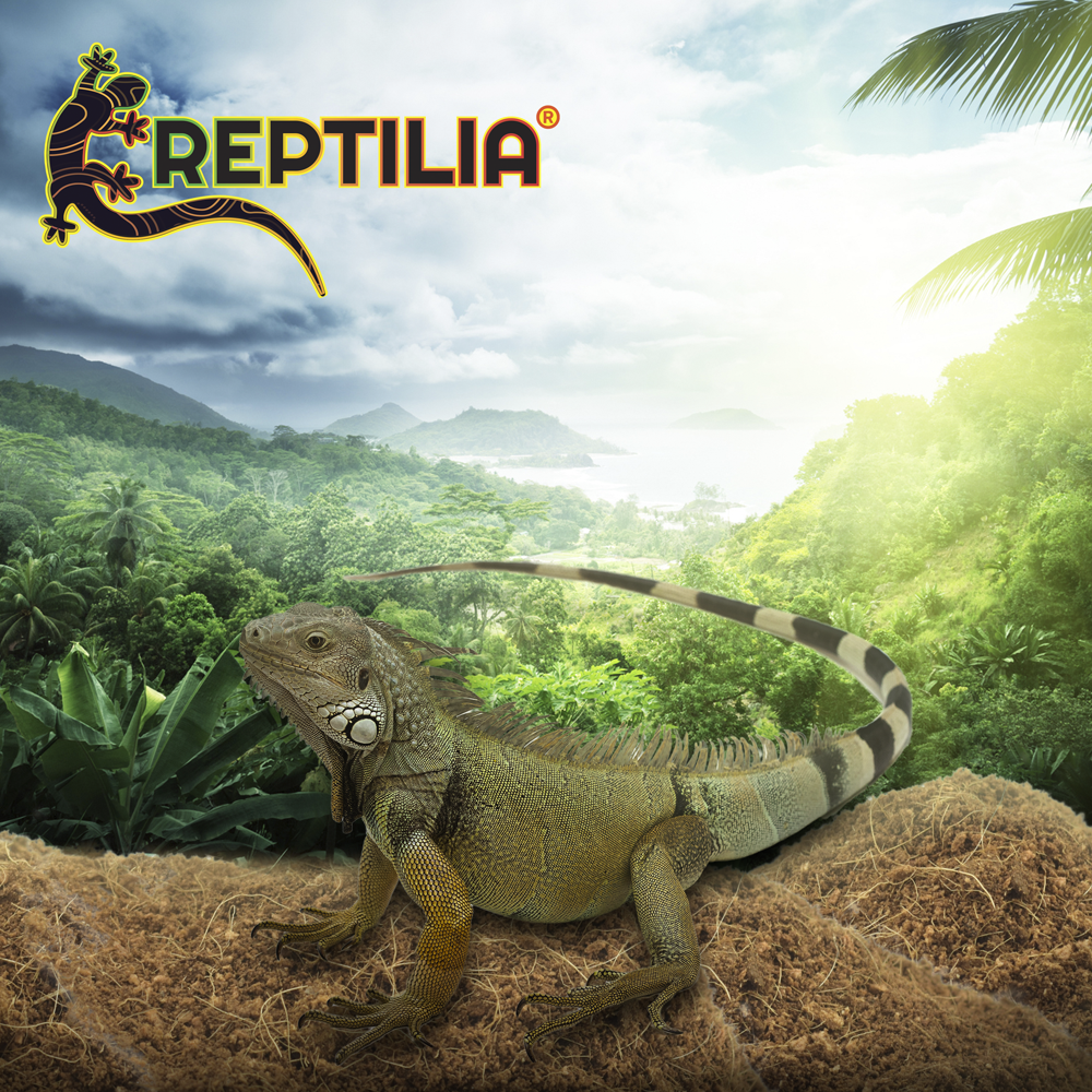 Foto 5 | Sustrato de Coco Reptilia 8 L