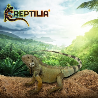 Foto 5 | Sustrato de Coco Reptilia 8 L