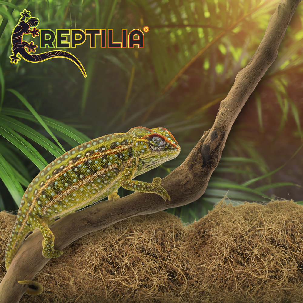 Foto 6 pulgar | Sustrato de Coco Reptilia 8 L
