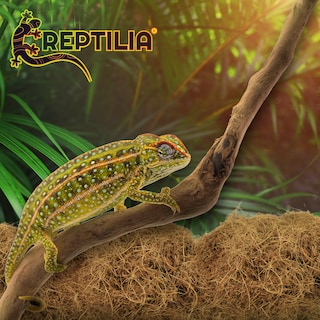 Foto 5 | Sustrato de Coco Reptilia 8 L