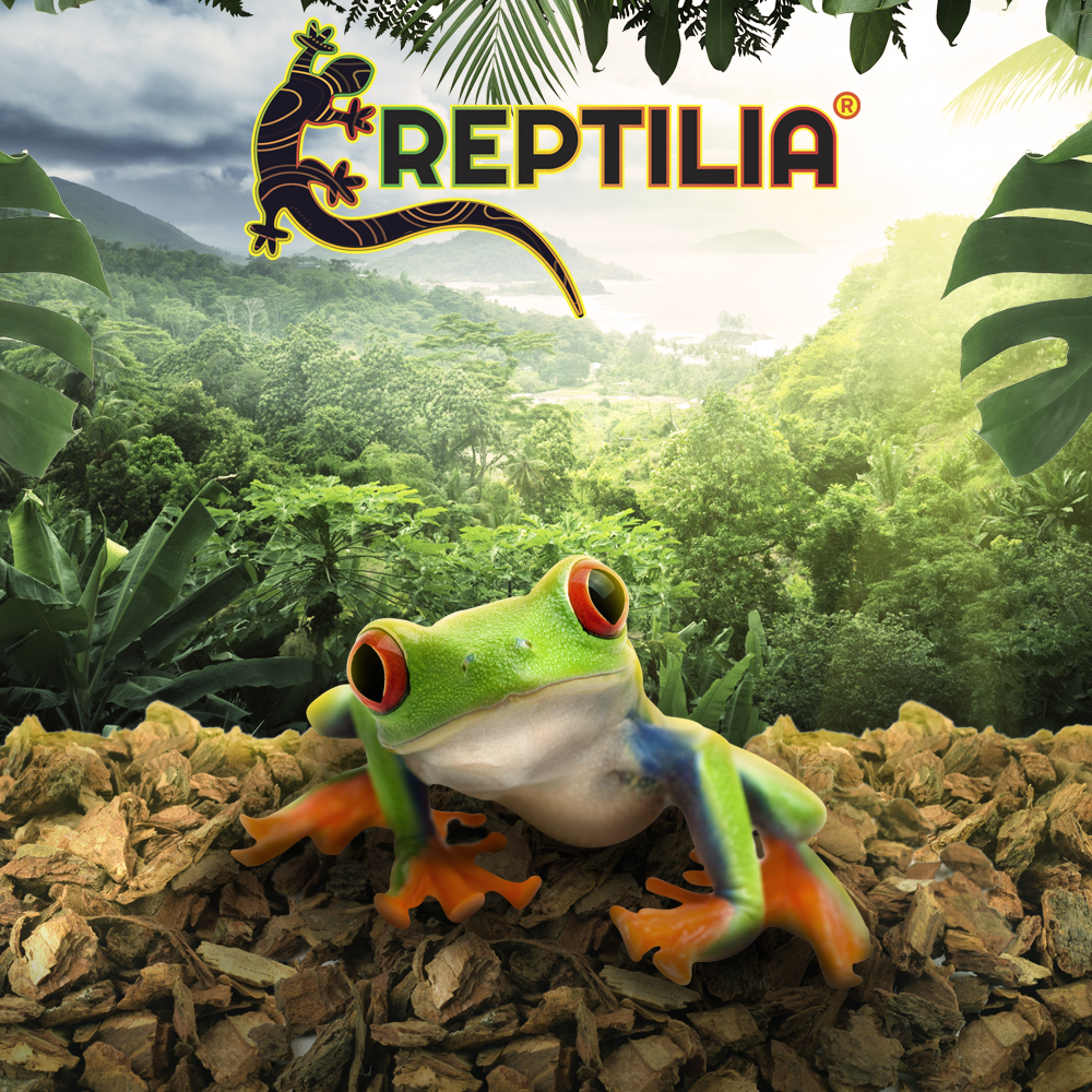 Foto 5 | Sustrato de Corteza de Pino Reptilia 1.3 kg