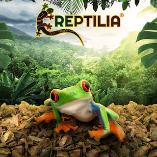 Foto 5 | Sustrato de Corteza de Pino Reptilia 1.3 kg