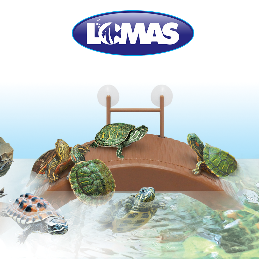 Foto 3 | Muelle Flotante Lomas para Tortugas de 21 Centímetros