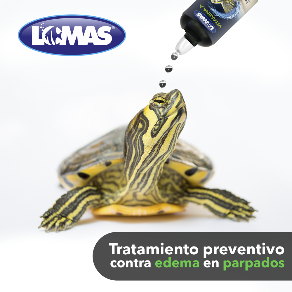 Foto 3 | Vitamina A Lomas para Tortugas Con 30 Mililitros