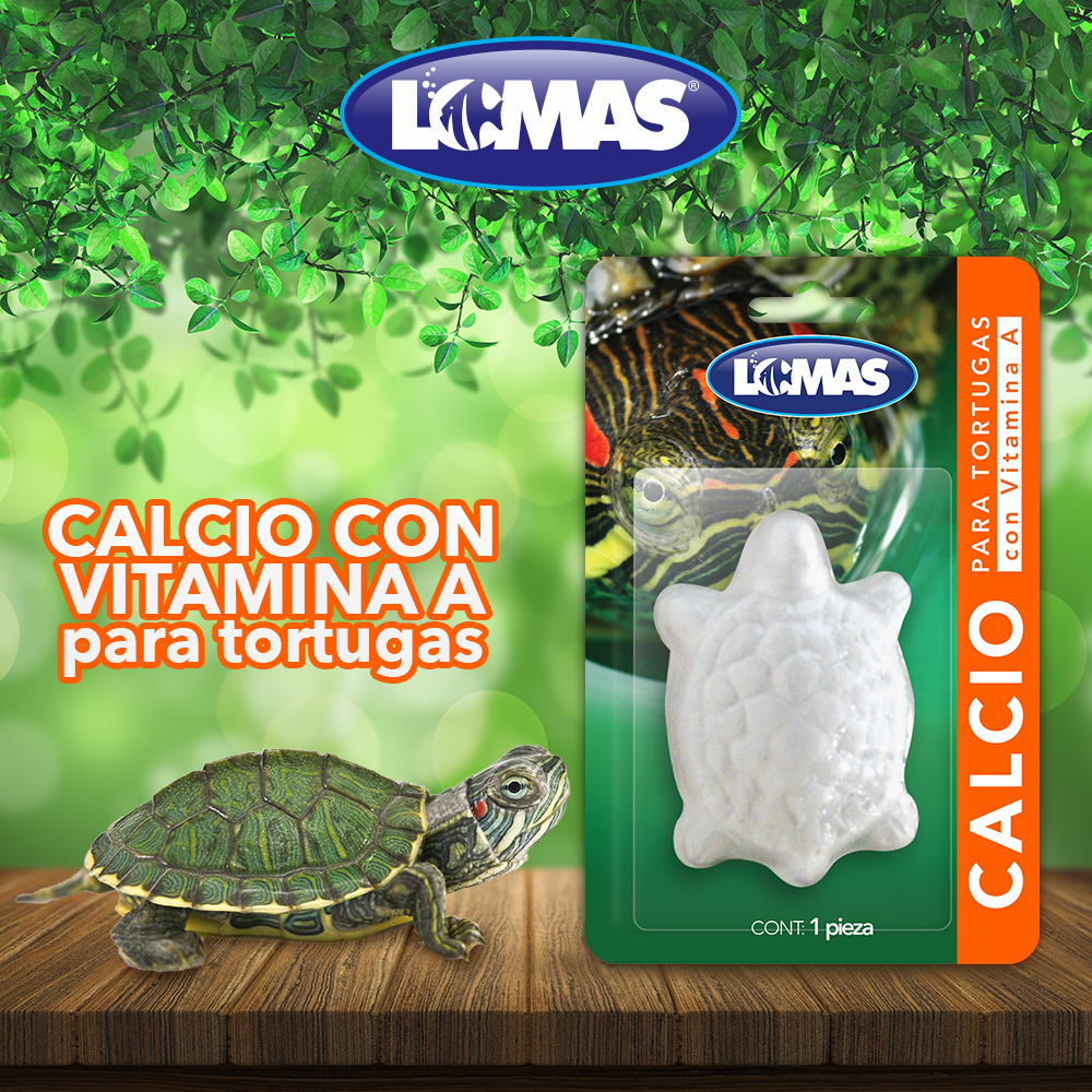 Foto 3 pulgar | Calcio con Vitamina A Lomas para Tortugas con 1 Pieza