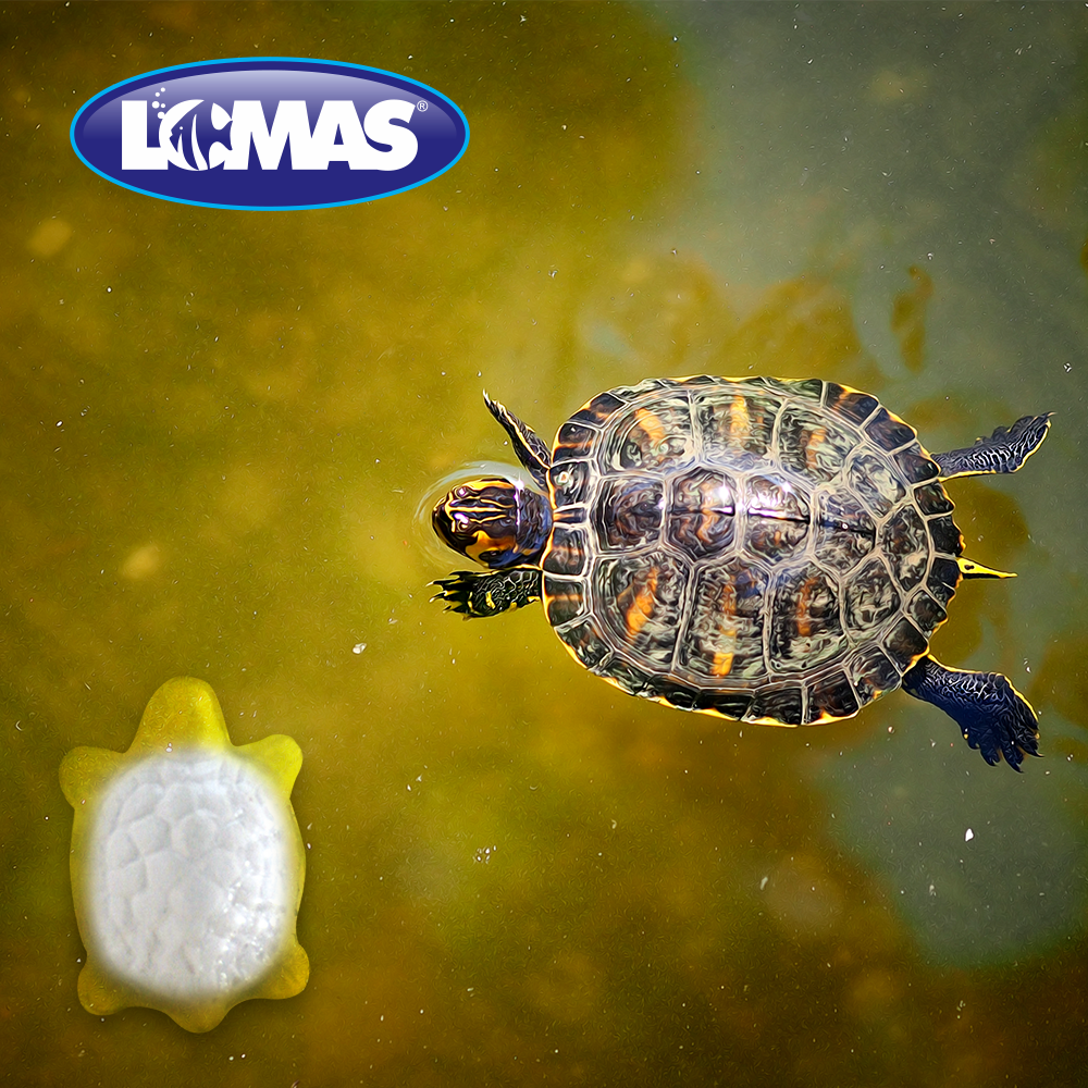 Foto 4 pulgar | Calcio con Vitamina A Lomas para Tortugas con 1 Pieza