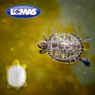 Foto 3 | Calcio con Vitamina A Lomas para Tortugas con 1 Pieza
