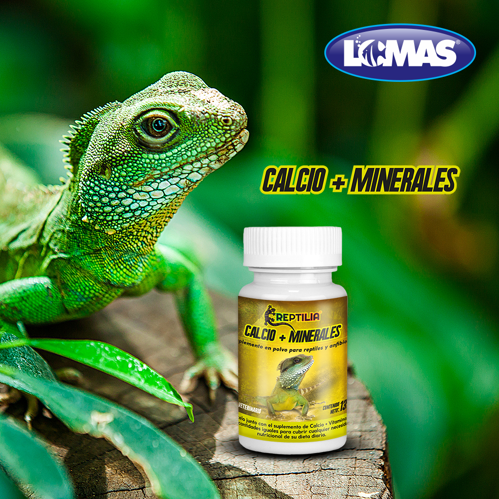 Foto 4 pulgar | Suplemento de Calcio y Minerales Lomas para Reptiles y Anfibios Contiene 135 Gramos
