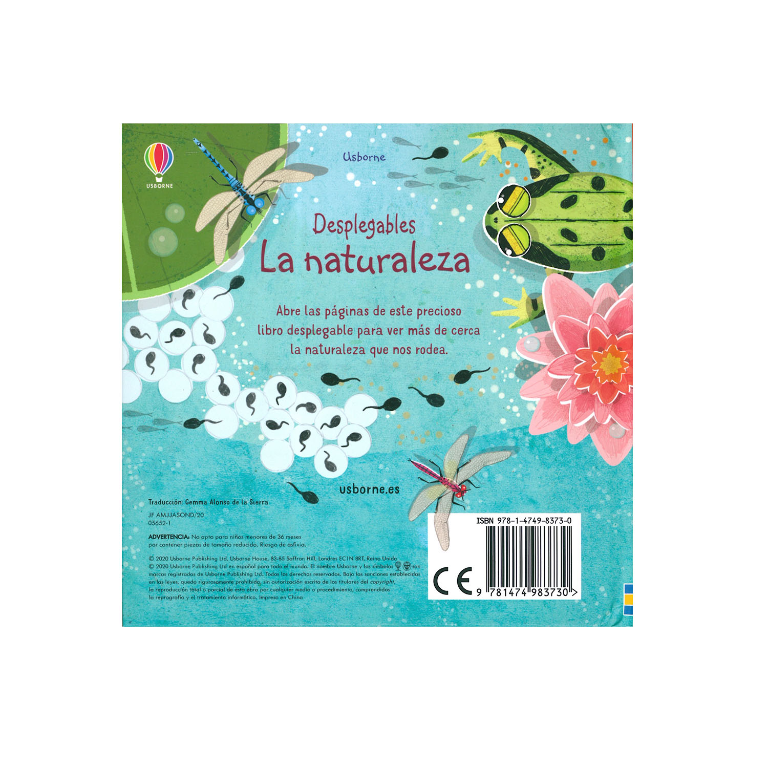 Foto 3 pulgar | La Naturaleza Usborne Pasta Dura color Verde