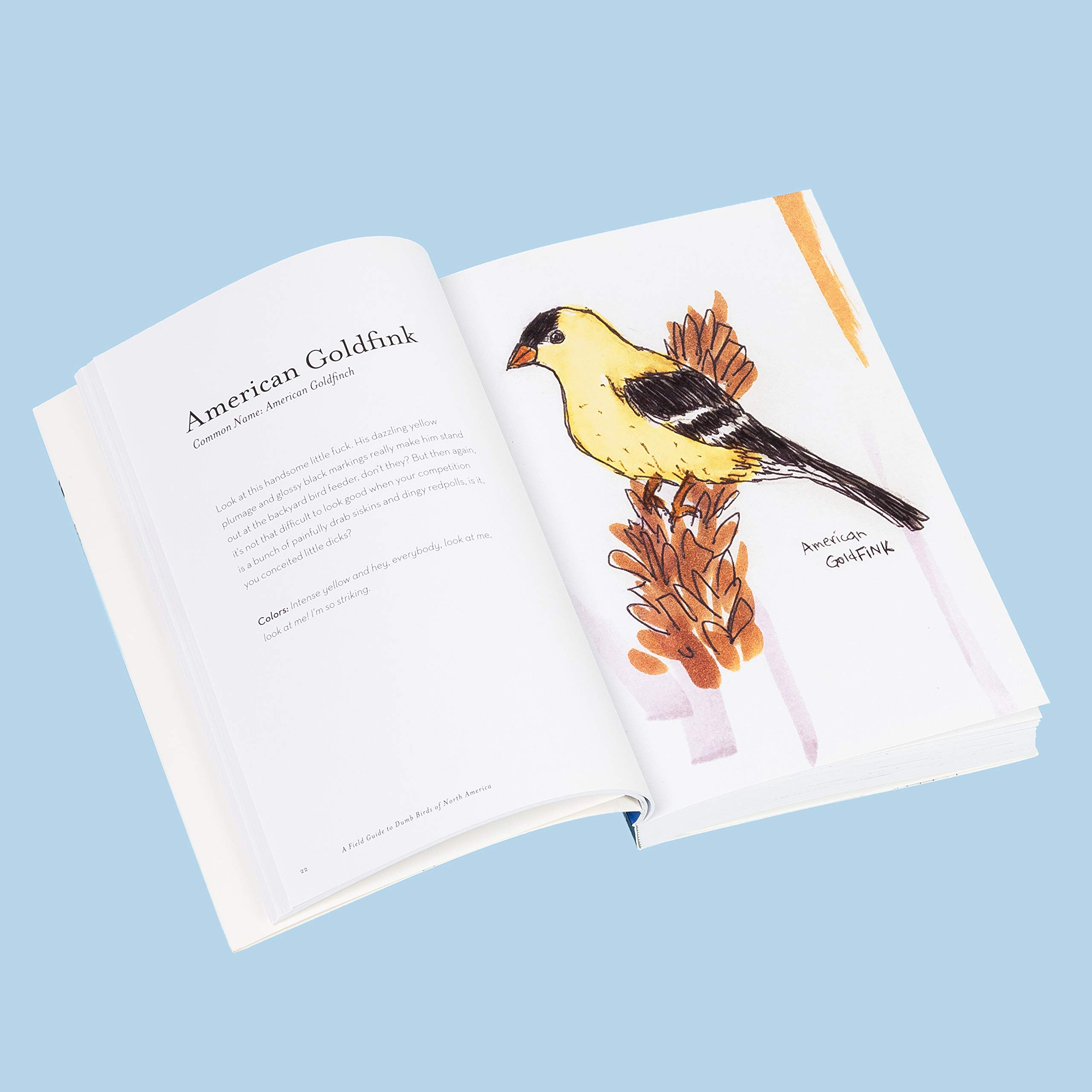 Foto 7 pulgar | Crónica Del Libro La Guía De Campo De Las Aves Tontas De América Del Norte - Venta Internacional.