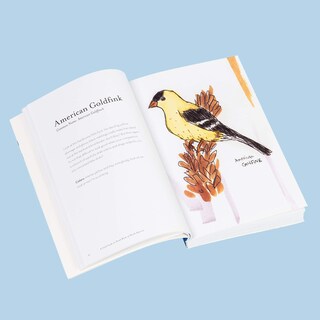 Foto 6 | Crónica Del Libro La Guía De Campo De Las Aves Tontas De América Del Norte - Venta Internacional.