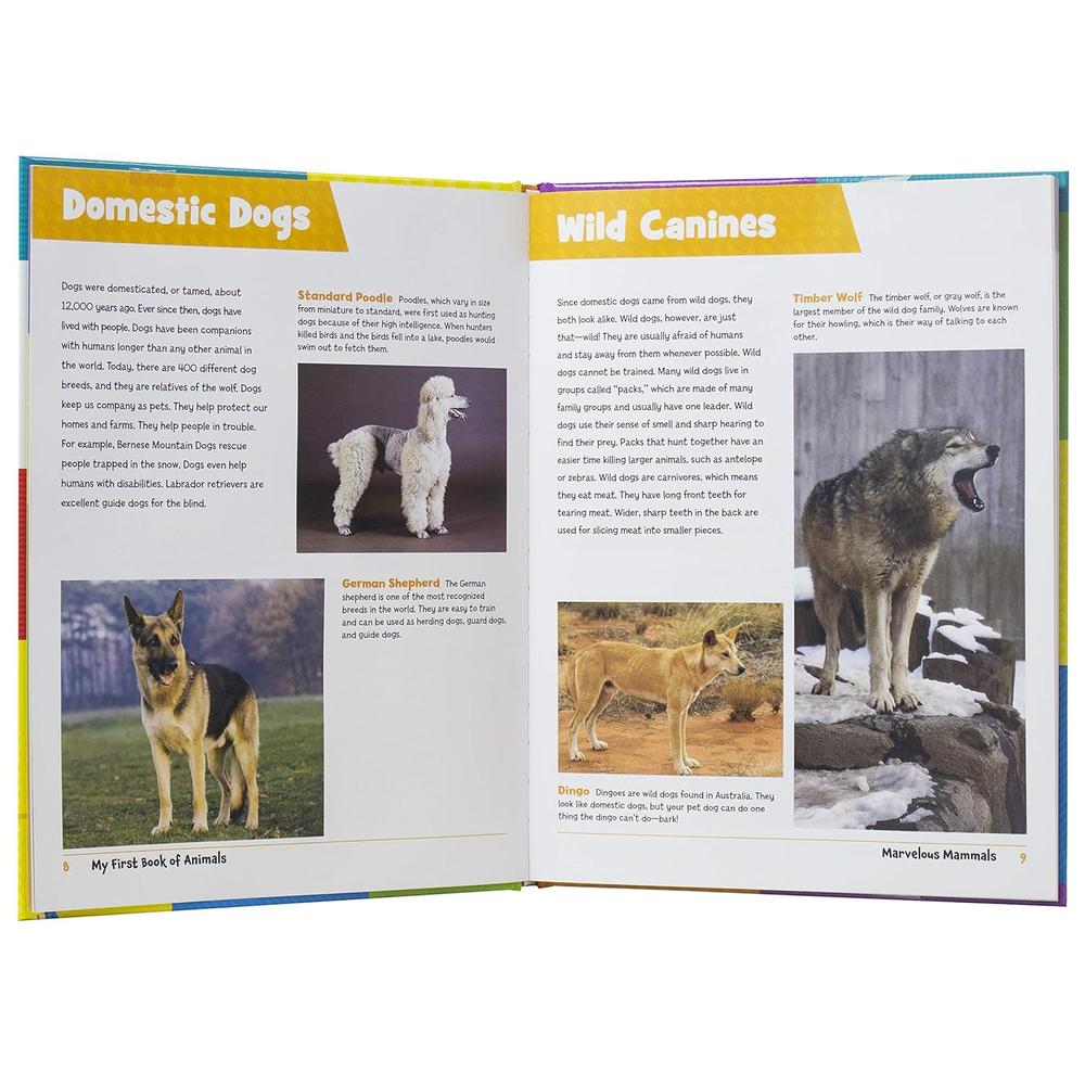 Foto 3 | Mi Primer Libro De Los Animales