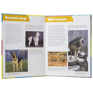 Foto 3 | Mi Primer Libro De Los Animales