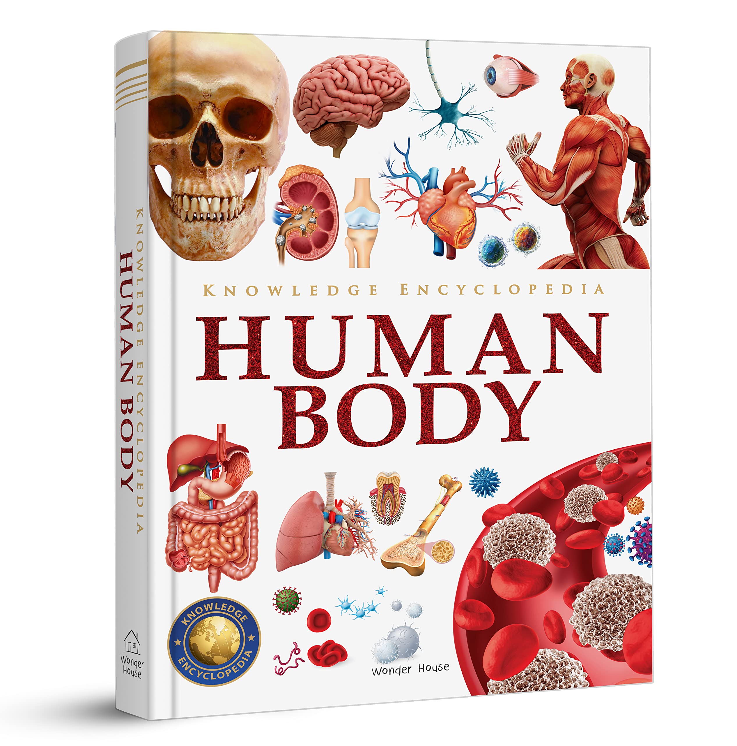 Book Knowledge Encyclopedia El Cuerpo Humano Para Niños - Venta Internacional.