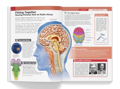 Foto 4 | Book Knowledge Encyclopedia El Cuerpo Humano Para Niños - Venta Internacional.