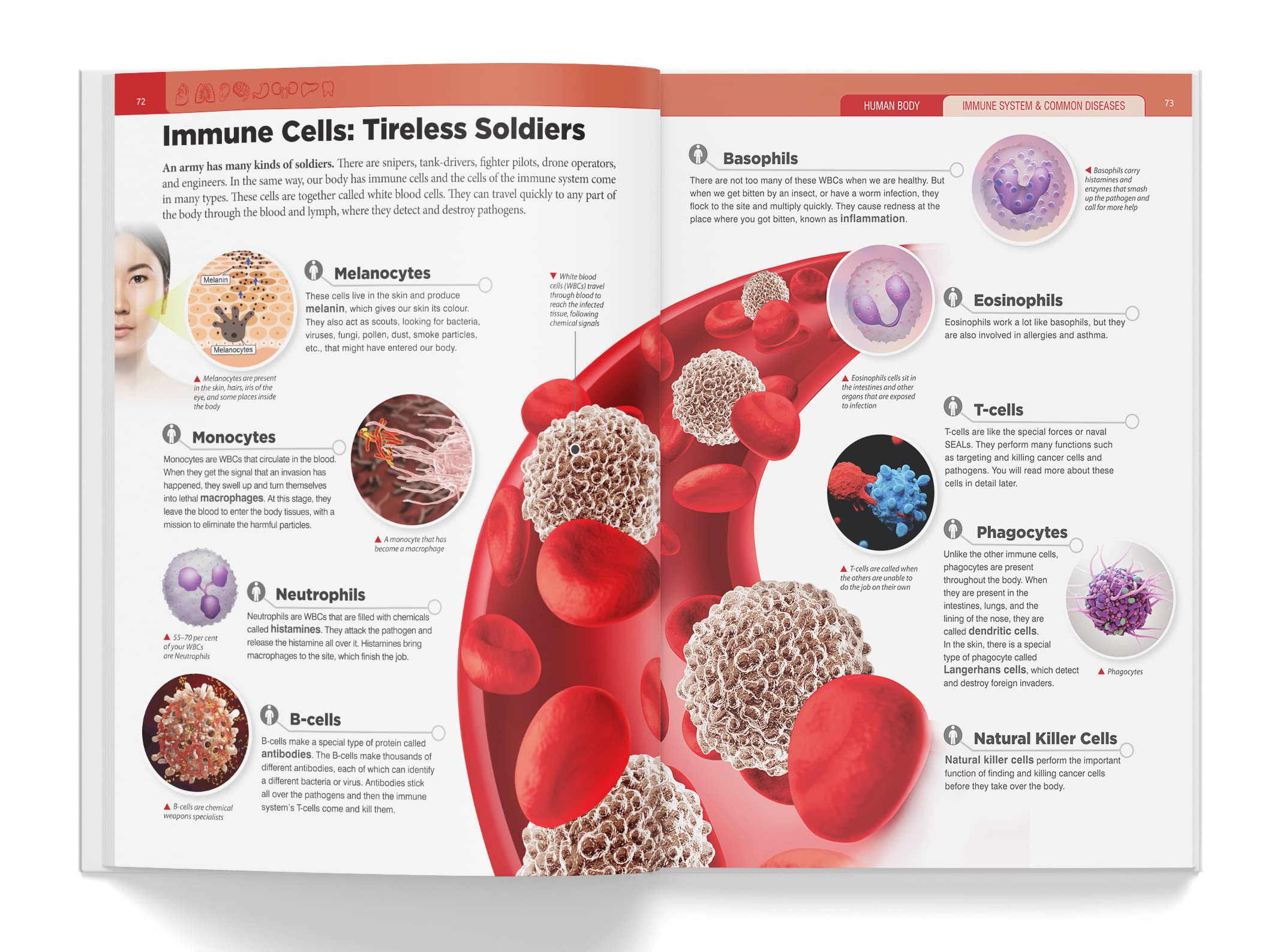 Foto 6 pulgar | Book Knowledge Encyclopedia El Cuerpo Humano Para Niños - Venta Internacional.