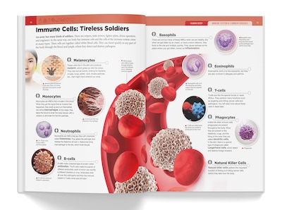 Foto 5 | Book Knowledge Encyclopedia El Cuerpo Humano Para Niños - Venta Internacional.