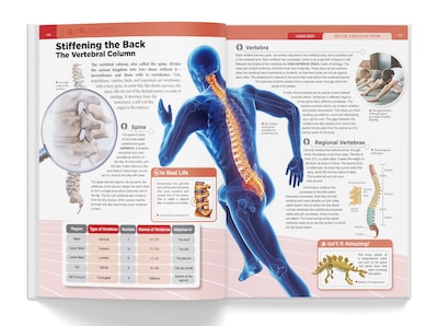 Foto 7 | Book Knowledge Encyclopedia El Cuerpo Humano Para Niños - Venta Internacional.