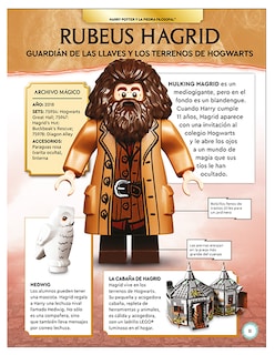 Foto 3 | Enciclopedia Penguin Personajes LEGO Harry Potter