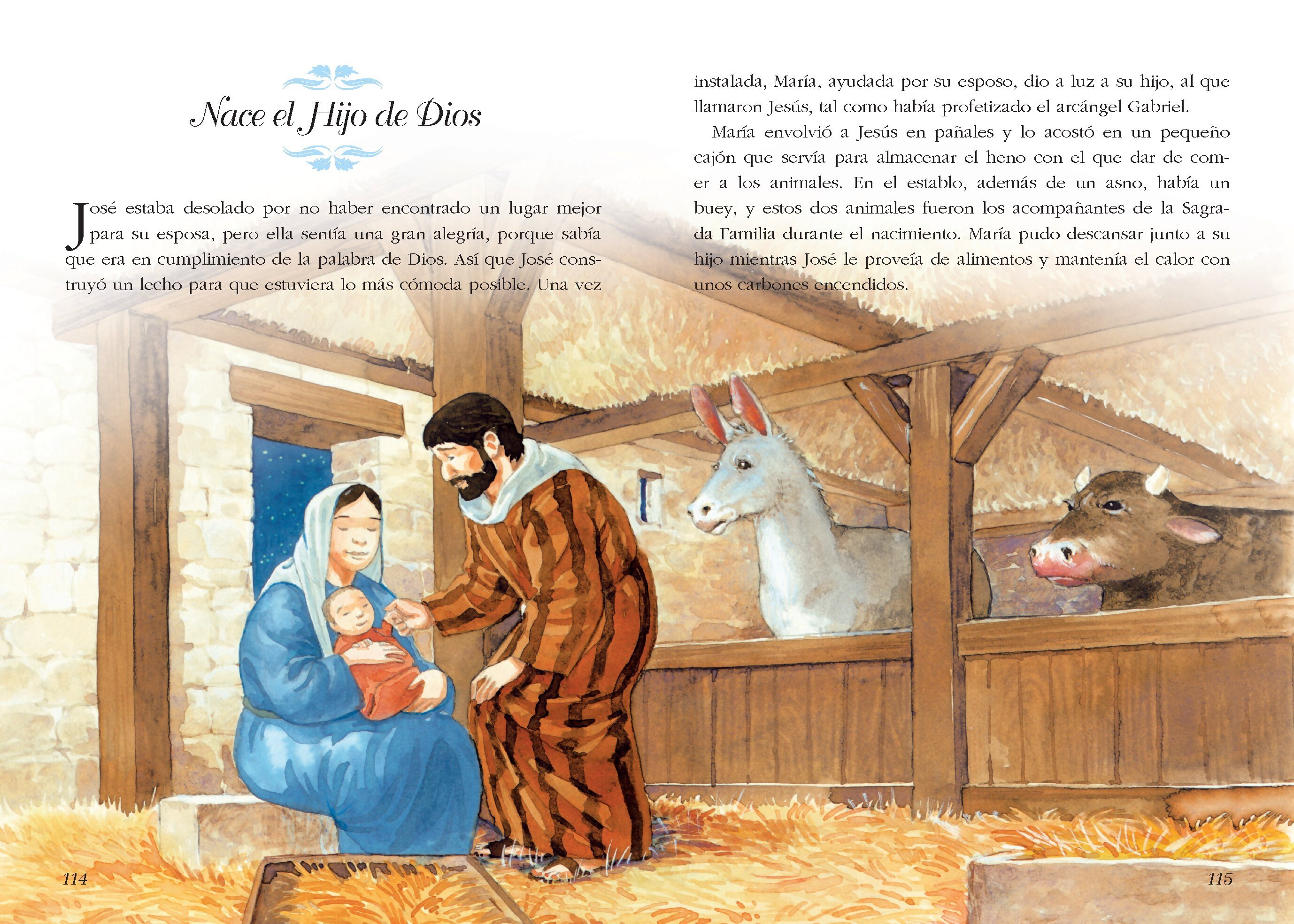 Foto 6 | Biblia Ilustrada para Niños de Maria Mañeru - Marin Tapa Dura Acolchada