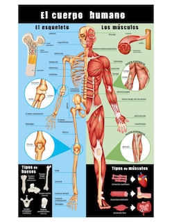Foto 2 | Guía Definitiva del Cuerpo Humano Carla Nieto Martinez Libsa Pasta Dura