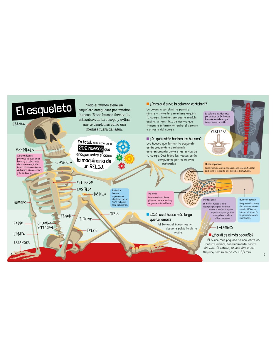 Foto 3 | Guía Definitiva del Cuerpo Humano Carla Nieto Martinez Libsa Pasta Dura