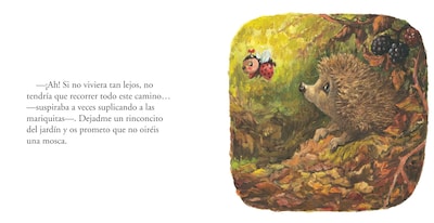 Foto 2 | Erizo Rollizo. Bichitos Curiosos Antoon Krings Blume Pasta Dura