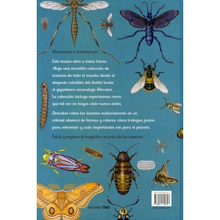 Foto 2 | Insectarium