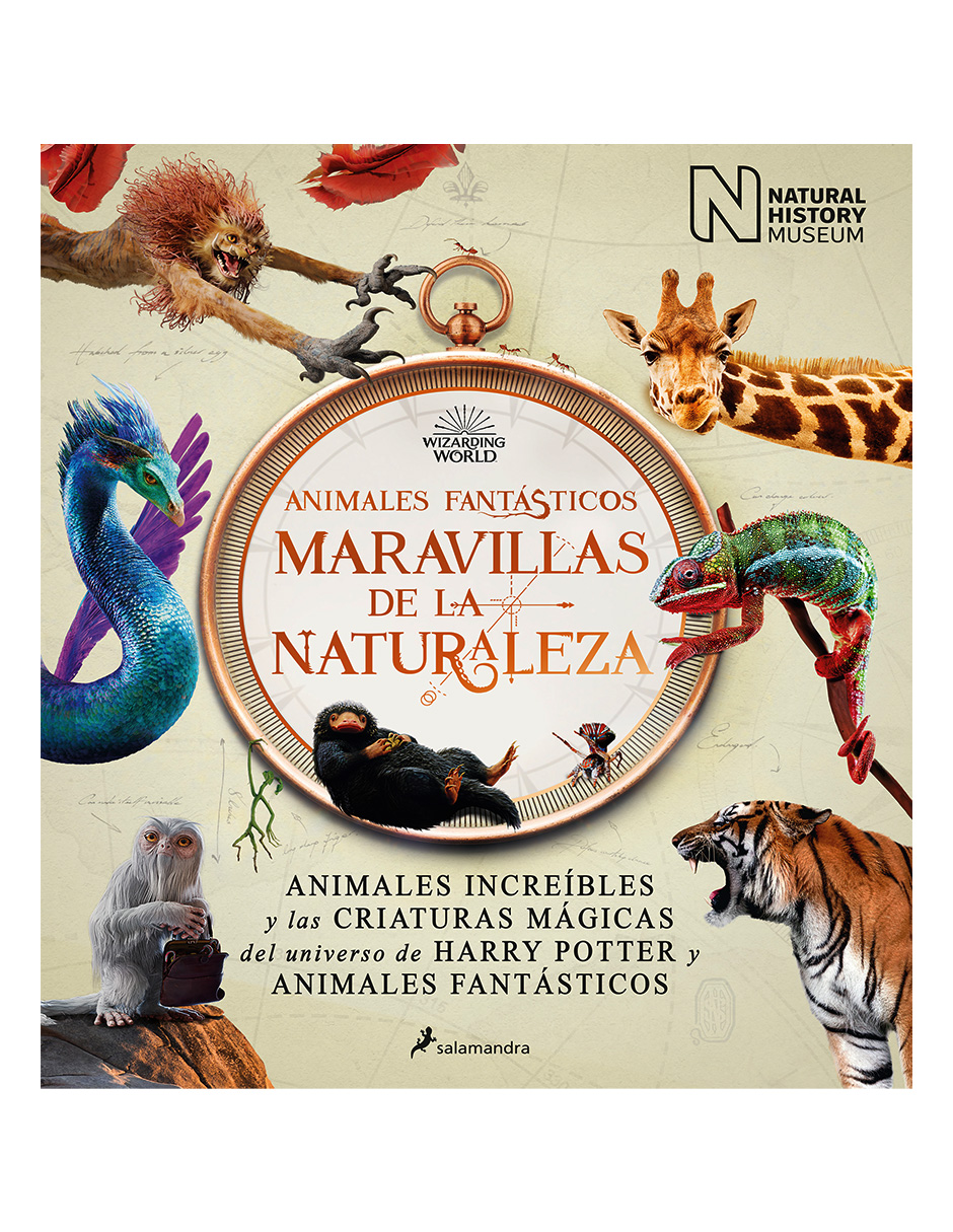 Libro 9788418637056