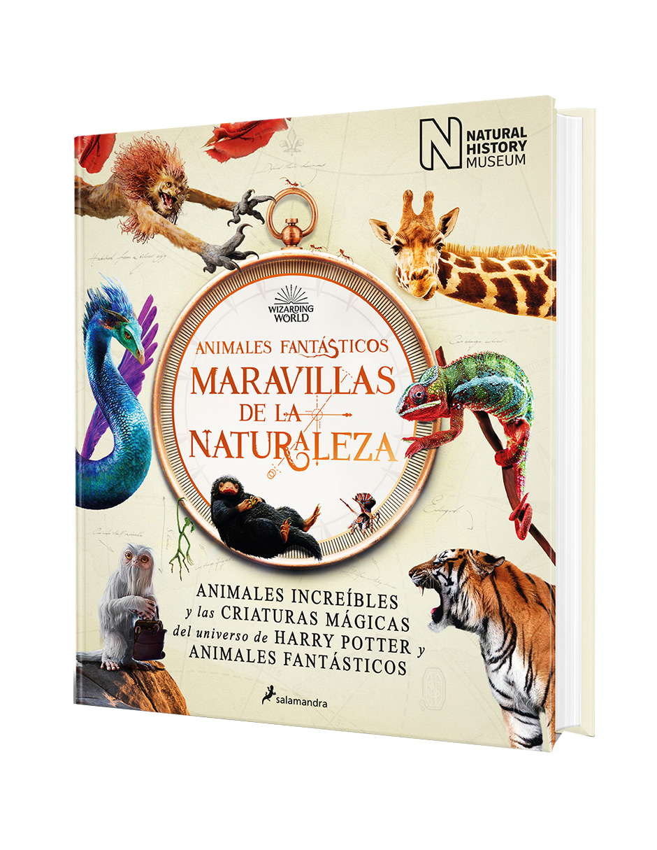 Foto 3 | Libro 9788418637056