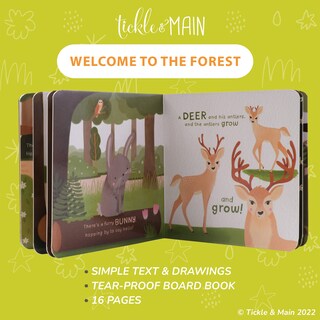 Foto 5 | Cuento Tickle & Main Woodland Forest Friends + 4 Pares de Calcetas - Venta Internacional