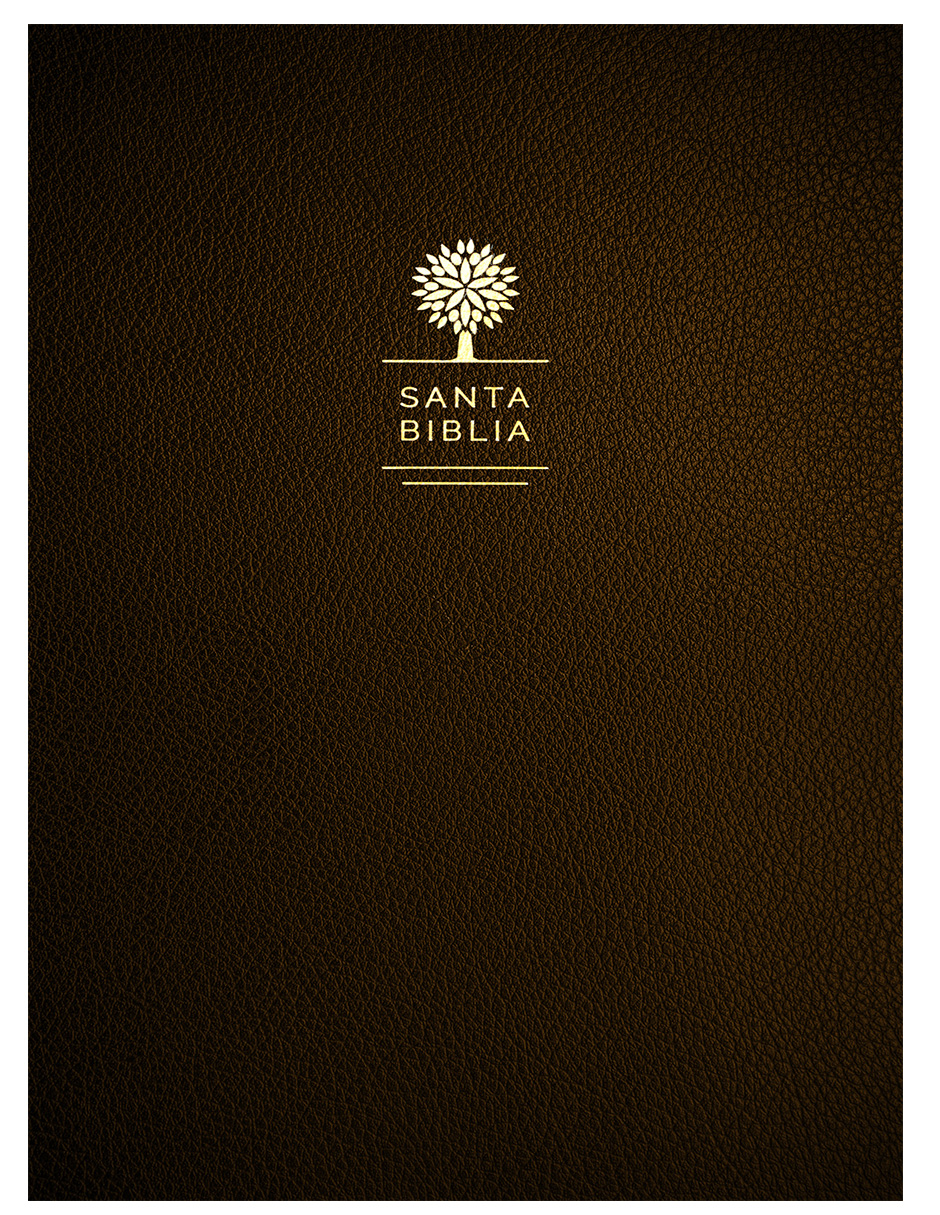 Foto 2 pulgar | Biblia Reina Valera 1960 Letra Grande Símil Piel color Negro
