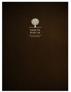 Foto 1 | Biblia Reina Valera 1960 Letra Grande Símil Piel color Negro