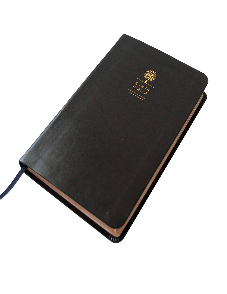 Foto 4 pulgar | Biblia Reina Valera 1960 Letra Grande Símil Piel color Negro