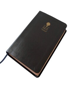Foto 3 | Biblia Reina Valera 1960 Letra Grande Símil Piel color Negro