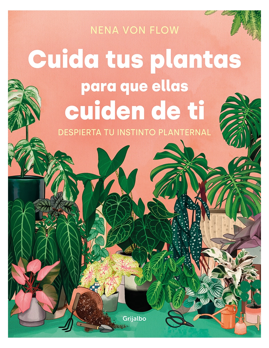 Cuida tus Plantas para que Ellas Cuiden de ti $964