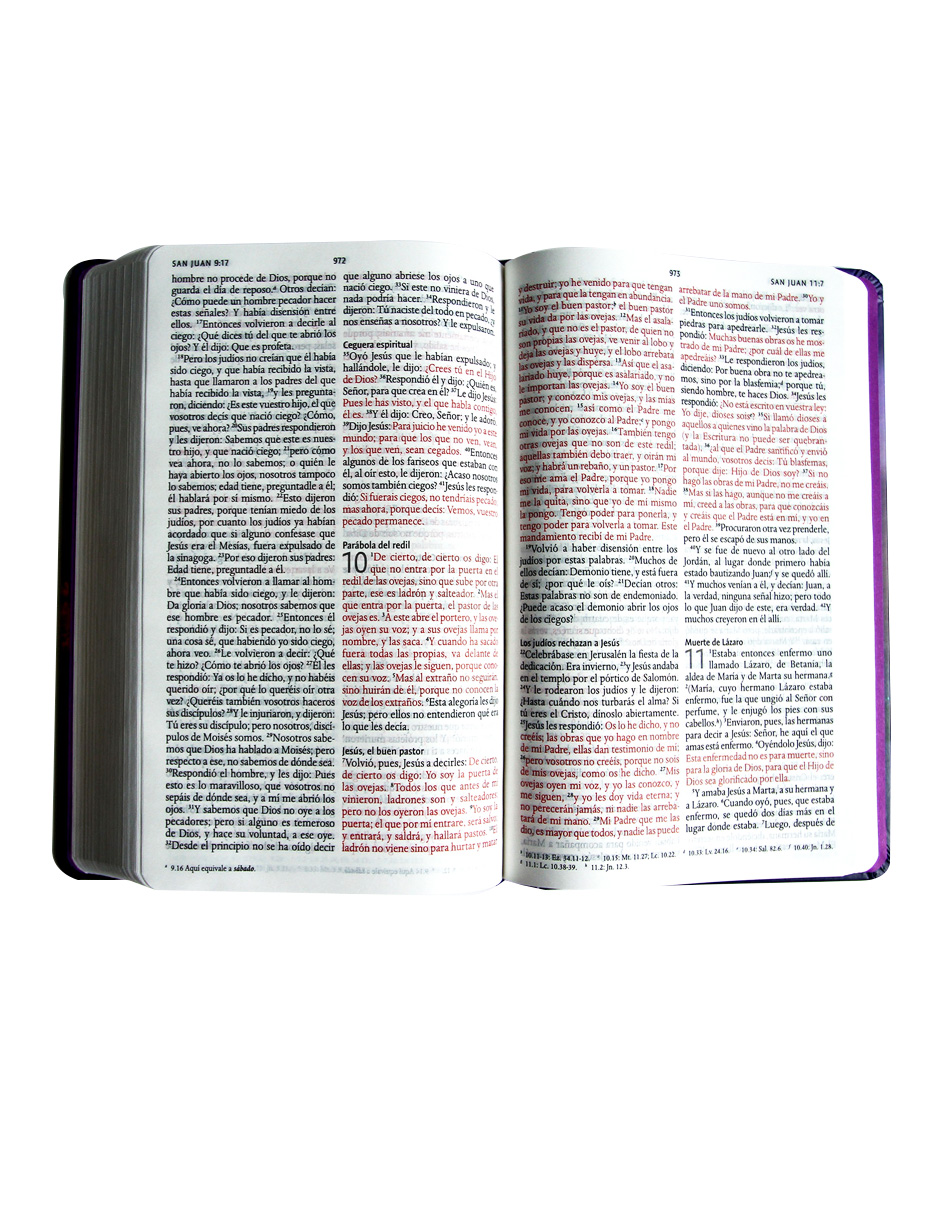 Foto 4 pulgar | Biblia Rvr 1960 Letra Grande Tamaño Manual, Nombres De Dios, El Faro