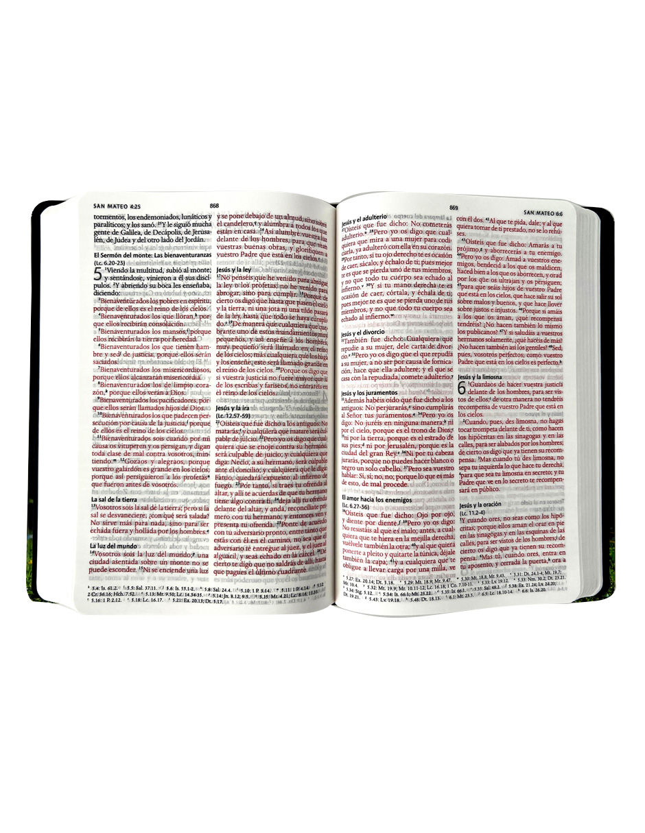 Foto 4 pulgar | Biblia Rvr 1960 Letra Grande, Manual, Tapa Dura Con Nombres De Dios, Cordero De Dios