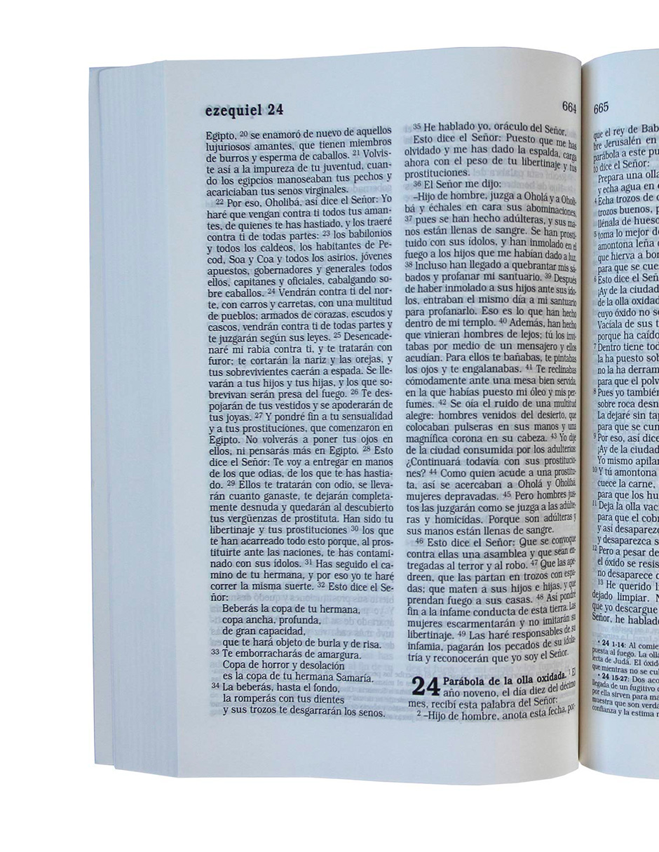 Foto 4 pulgar | La Biblia Católica. Color Roja Editorial Biblia De América