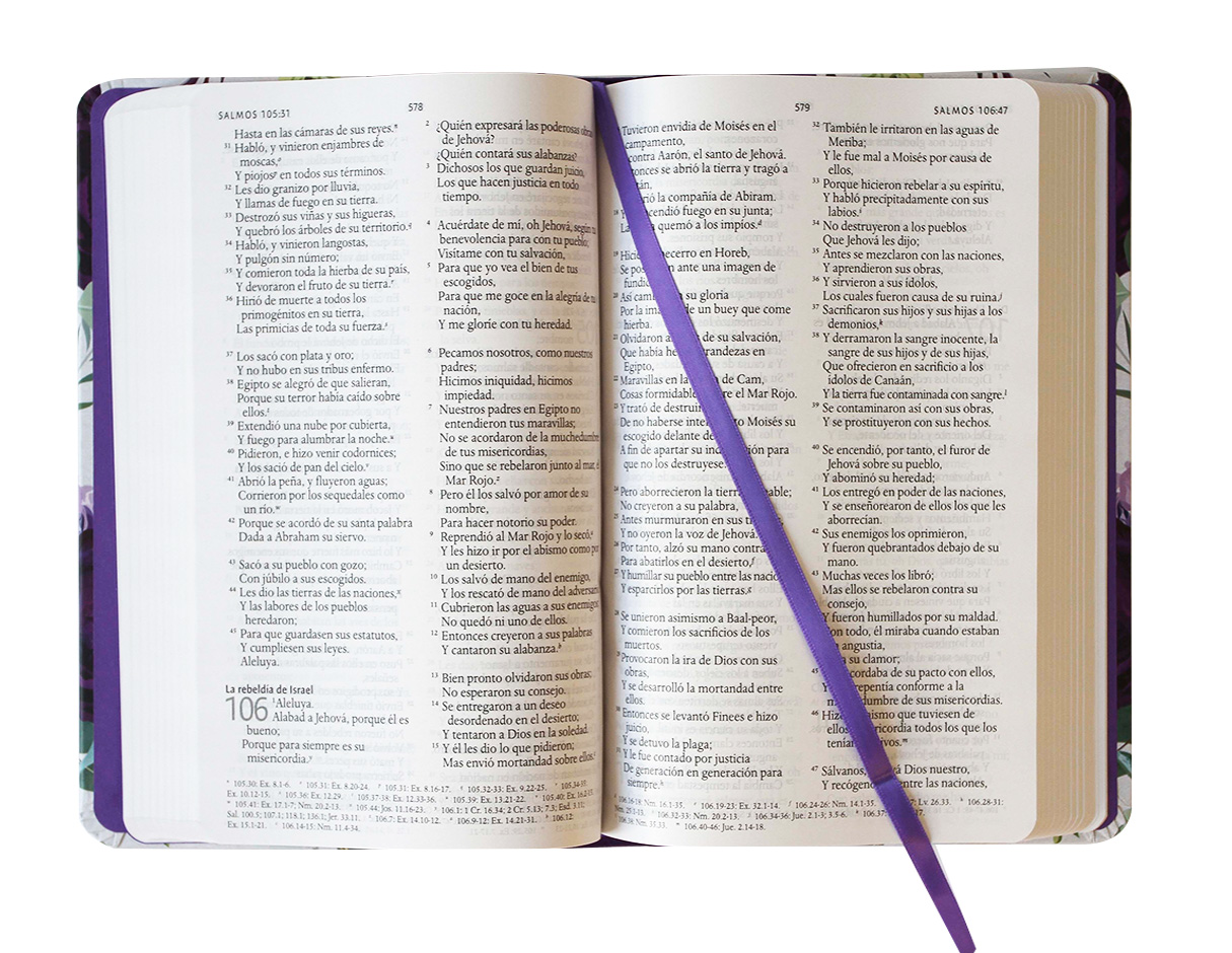 Foto 4 | Biblia Reina Valera 1960 Letra Grande Tapa Dura
