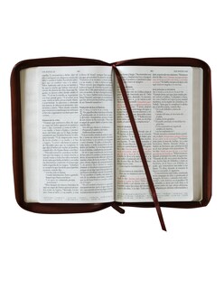 Foto 4 | Biblia Reina Valera 1960 (letra Grande - Símil Piel Canela, Cremallera, Tamaño Manual)